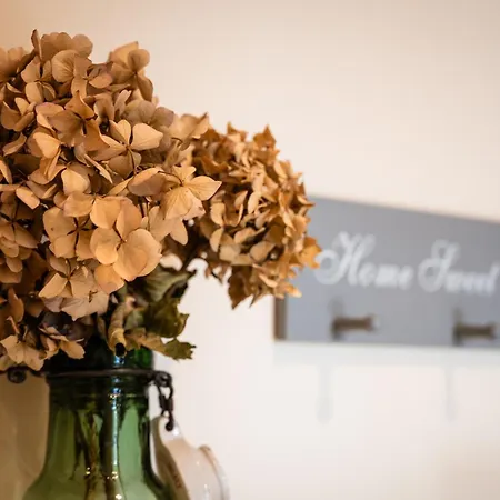 En Montagne Vosges Alsaciennes