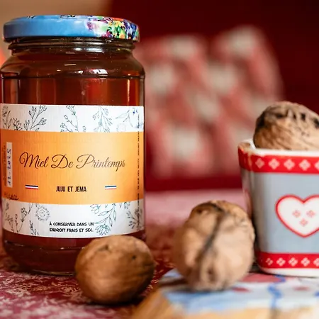 Apartment En Montagne Vosges Alsaciennes *