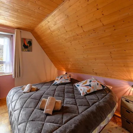 En Montagne Vosges Alsaciennes