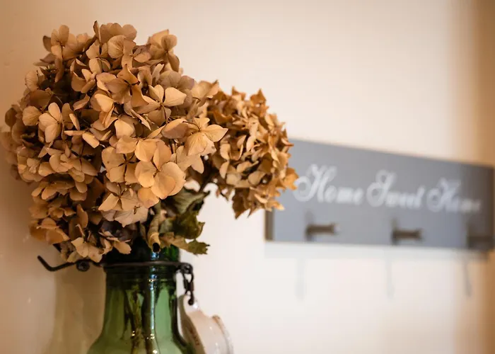 En Montagne Vosges Alsaciennes